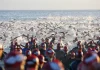 Dos triatletas fallecen durante la natación del Ironman 70.3 de Mossel Bay (Sudáfrica)