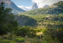 Nace la Titan Forest Patagonia