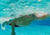 ¿Cómo sacar partido a las palas de natación? El accesorio que puede transformar tu brazada palas de natación Zone3